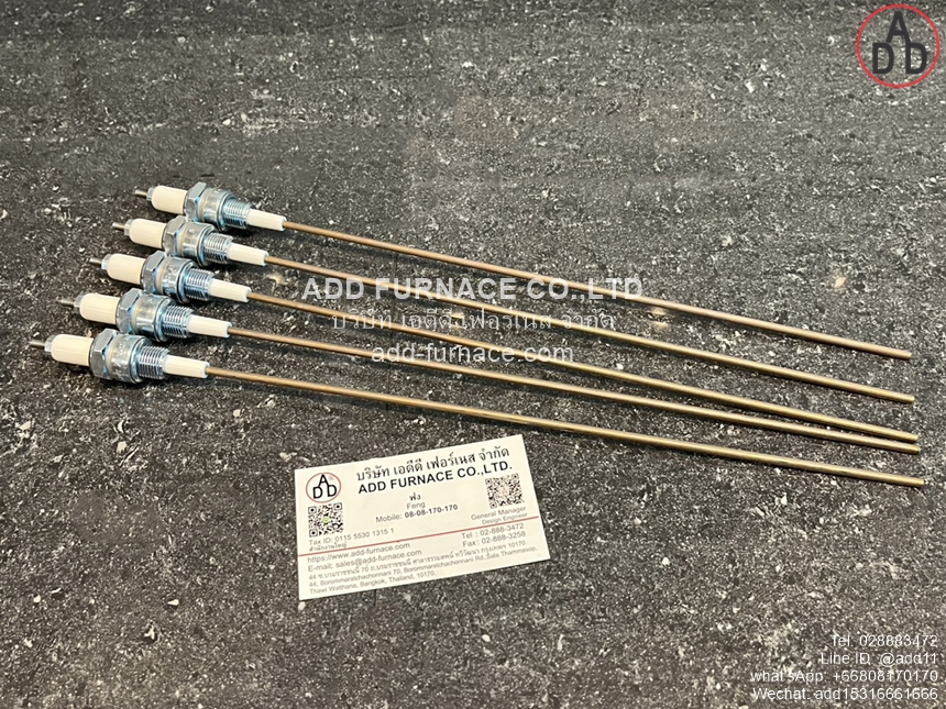 Beru ZE 14-12-300 A1 (1)